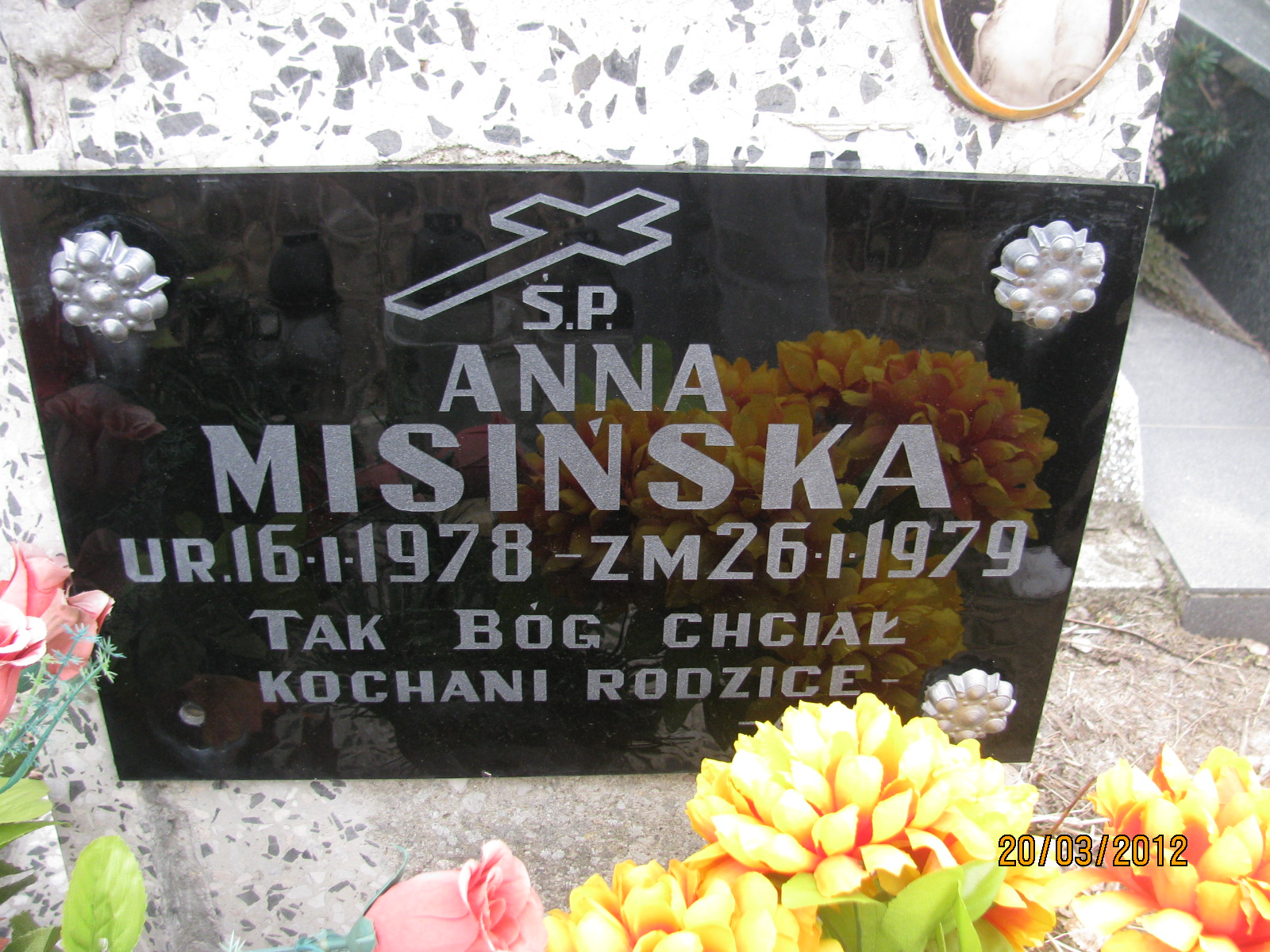 Anna Misińska 1978 Kock - Grobonet - Wyszukiwarka osób pochowanych