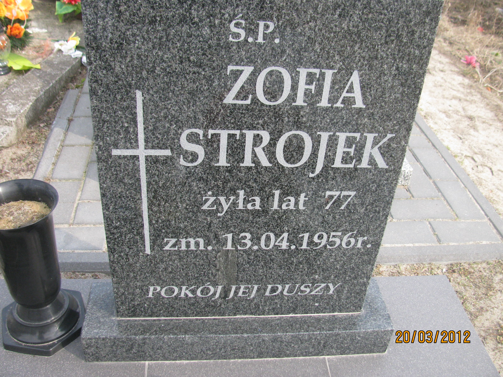 Zofia Strojek Kock - Grobonet - Wyszukiwarka osób pochowanych