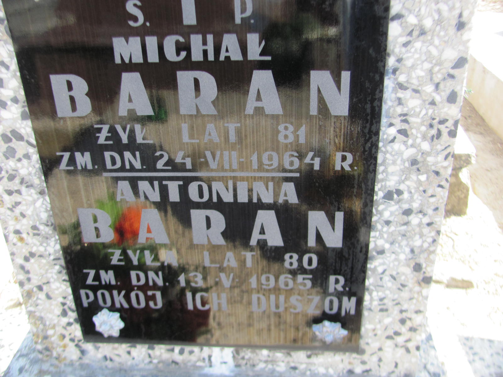 Michał Baran Kock - Grobonet - Wyszukiwarka osób pochowanych