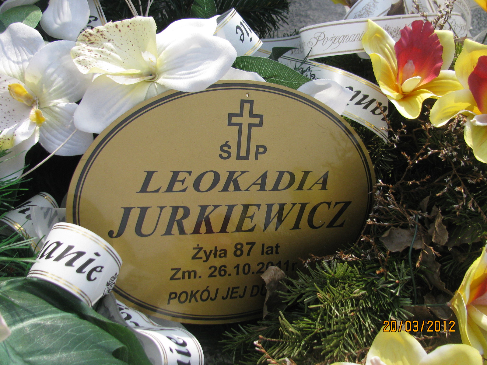 Zofia Leszczyńska Kock - Grobonet - Wyszukiwarka osób pochowanych