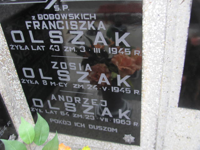 Andrzej Henryk Strojek 1953 Kock - Grobonet - Wyszukiwarka osób pochowanych