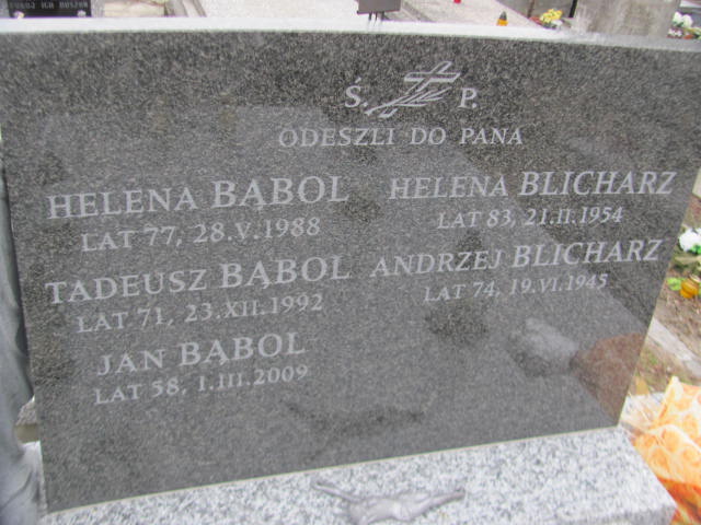 Jan Bąbol 1950 Kock - Grobonet - Wyszukiwarka osób pochowanych