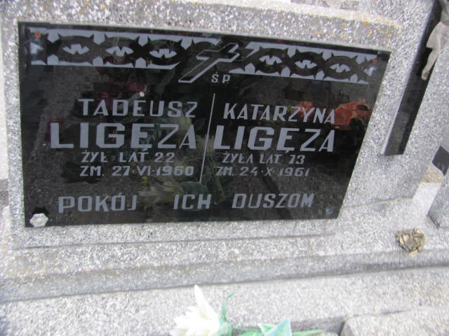 Antoni Ligęza Kock - Grobonet - Wyszukiwarka osób pochowanych