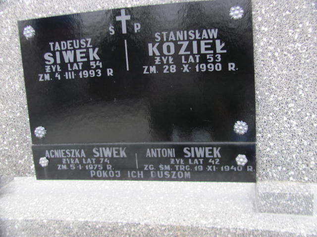 Agnieszka Siwek Kock - Grobonet - Wyszukiwarka osób pochowanych