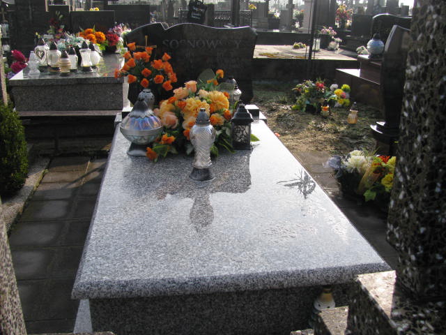 Józef Sosnowski Kock - Grobonet - Wyszukiwarka osób pochowanych