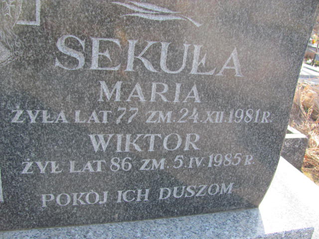 Wiktor Sekuła Kock - Grobonet - Wyszukiwarka osób pochowanych