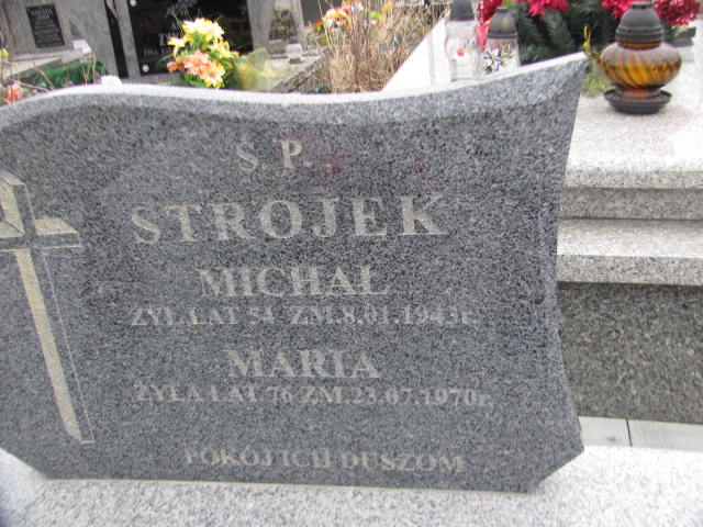 Michał Strojek Kock - Grobonet - Wyszukiwarka osób pochowanych