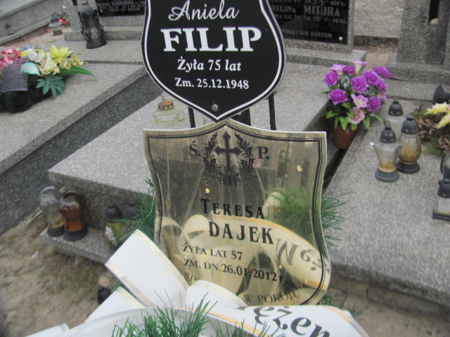 TERESA MIROSŁAWA Dajek 1955 Kock - Grobonet - Wyszukiwarka osób pochowanych