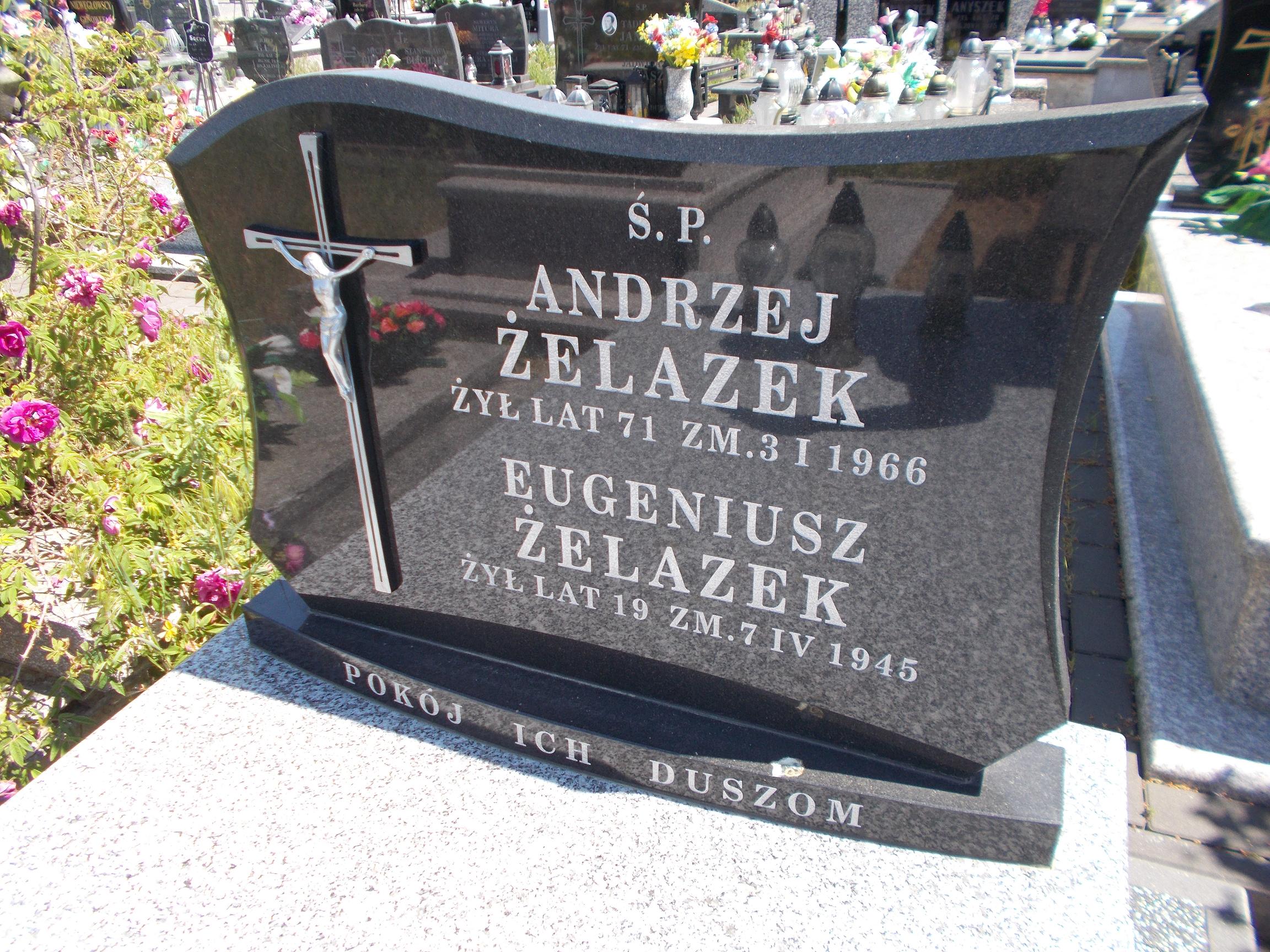Andrzej Żelazek Kock - Grobonet - Wyszukiwarka osób pochowanych