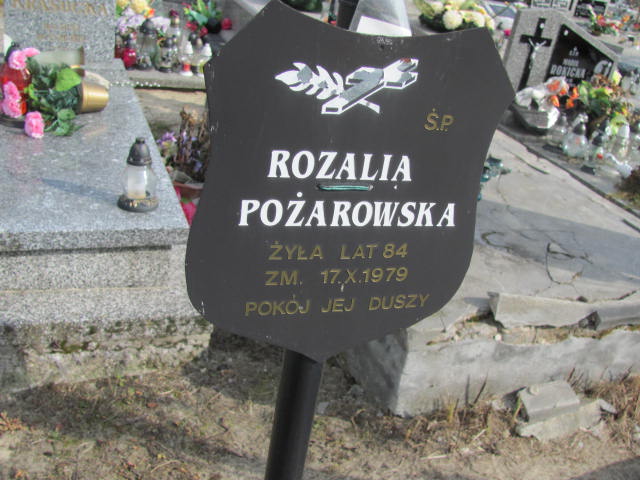 Stanisław Henryk Badziak 1942 Kock - Grobonet - Wyszukiwarka osób pochowanych