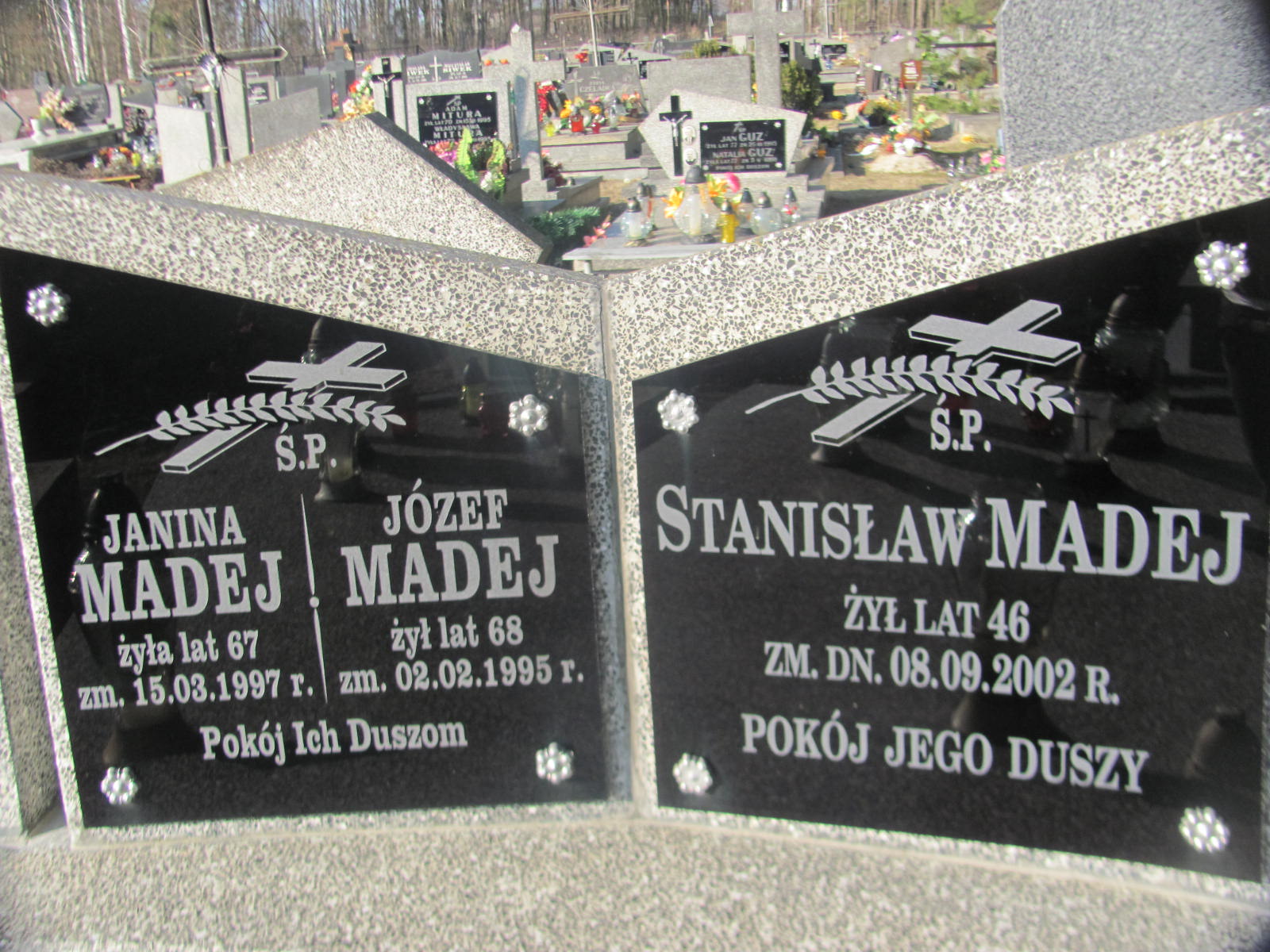 Janina Madej 1930 Kock - Grobonet - Wyszukiwarka osób pochowanych