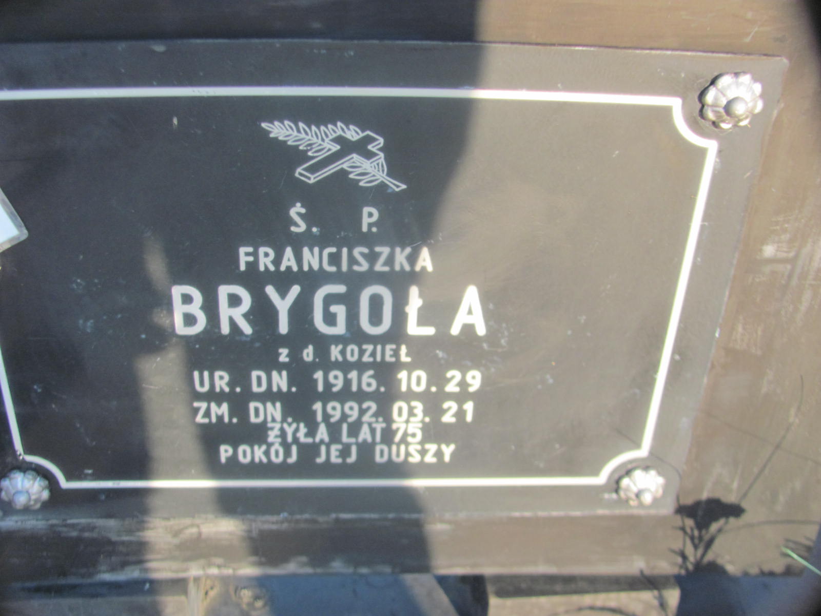 Stanisław Brygoła 1910 Kock - Grobonet - Wyszukiwarka osób pochowanych