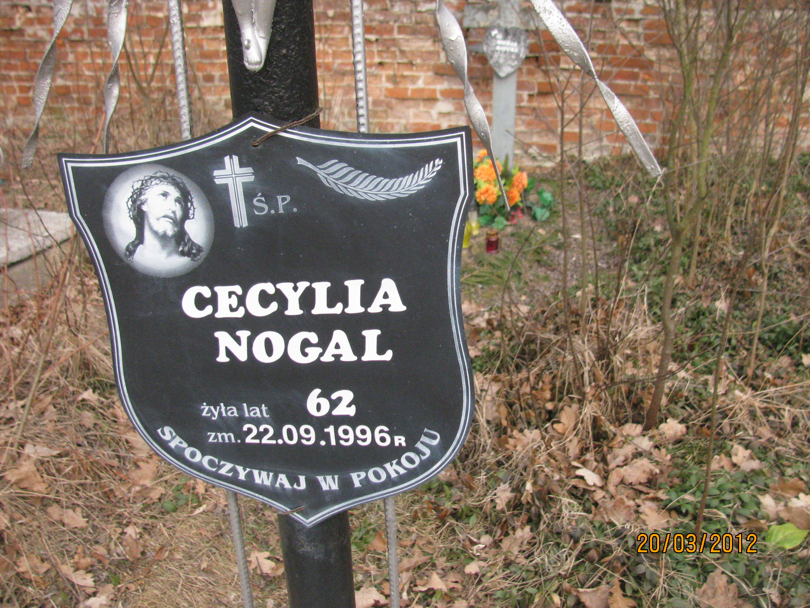 Grób Cecylia Nogal