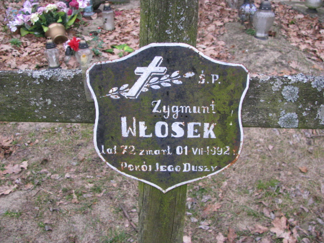 Zygmunt Włosek 1920 Kock - Grobonet - Wyszukiwarka osób pochowanych